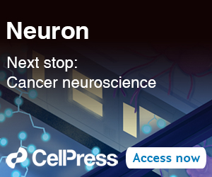 Neuron